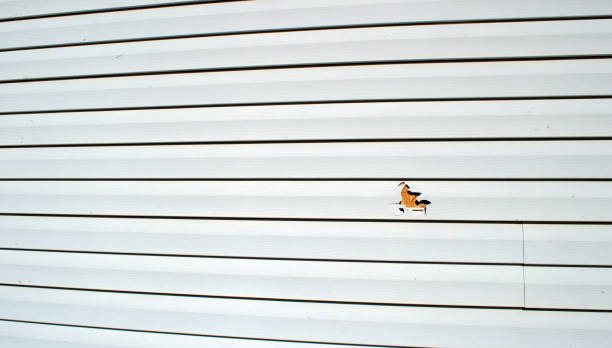 Best Custom Siding Design  in Gloucester Courthouse, VA