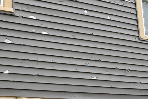 Affordable siding repair and maintenance services in Gloucester Courthouse, VA