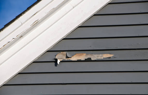 Best Stone Veneer Siding  in Gloucester Courthouse, VA