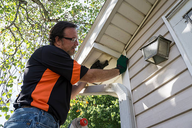 Best Engineered Wood Siding  in Gloucester Courthouse, VA
